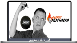 Stephen Larsen - Secret MLM Hacks