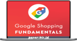 AgencySavvy - Google Shopping