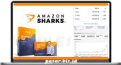 Andrew Minalto – Amazon Sharks