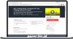Day Trading Ninja: 12 Hours DIY Day Trading Strategy