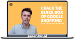Dennis Moons - Google Shopping Success