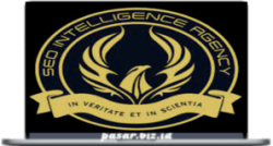 Kyle Roof – Seo Intelligence Agency