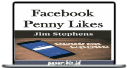 Learn The Secrets Of Facebook Penny Likes
