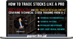 Live Traders – How To Become A Forex Pro Trader