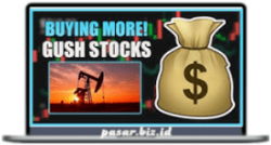 Silent Investments - Full Stock Option Market Videos