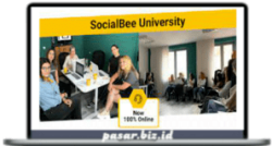 SocialBee - SocialBee University