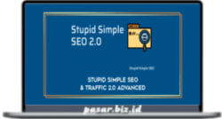 Stupid Simple SEO 2.0 Advanced