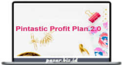 Summer Tannhauser - Pintastic Profit Plan 2.0