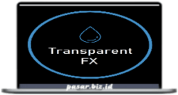 Transparent FX Course