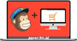 Mailchimp Email Marketing Mastery For Ecommerce